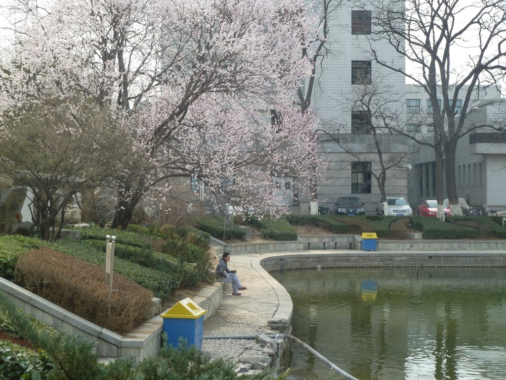 Campus der Beijing Jiaotong University.