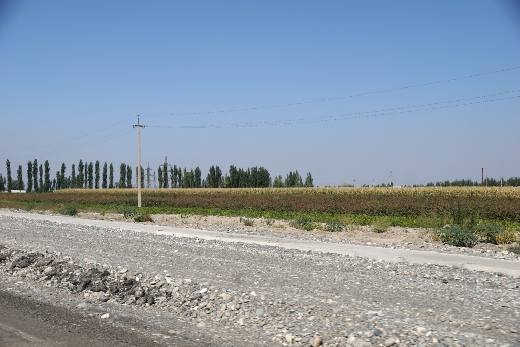 Durch das fruchtbare Ferghana-Tal gen Andischan