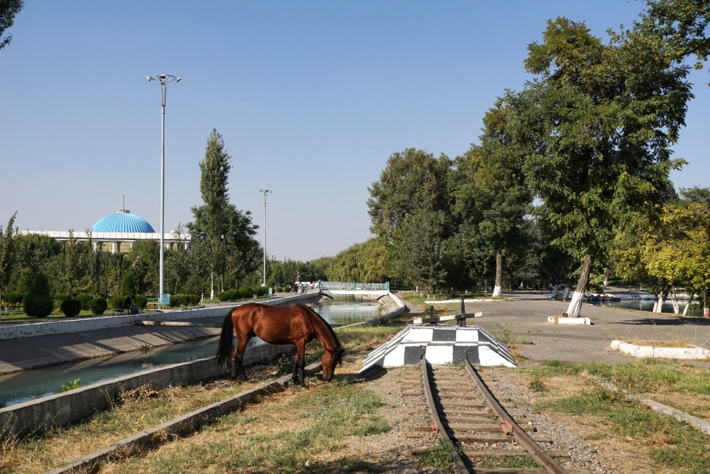 Die Weiterbeförderung ist gesichert! (Pionierbahn in Taschkent)